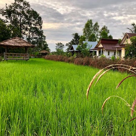 Baan Thung Home Stay Prasat Bagian luar foto