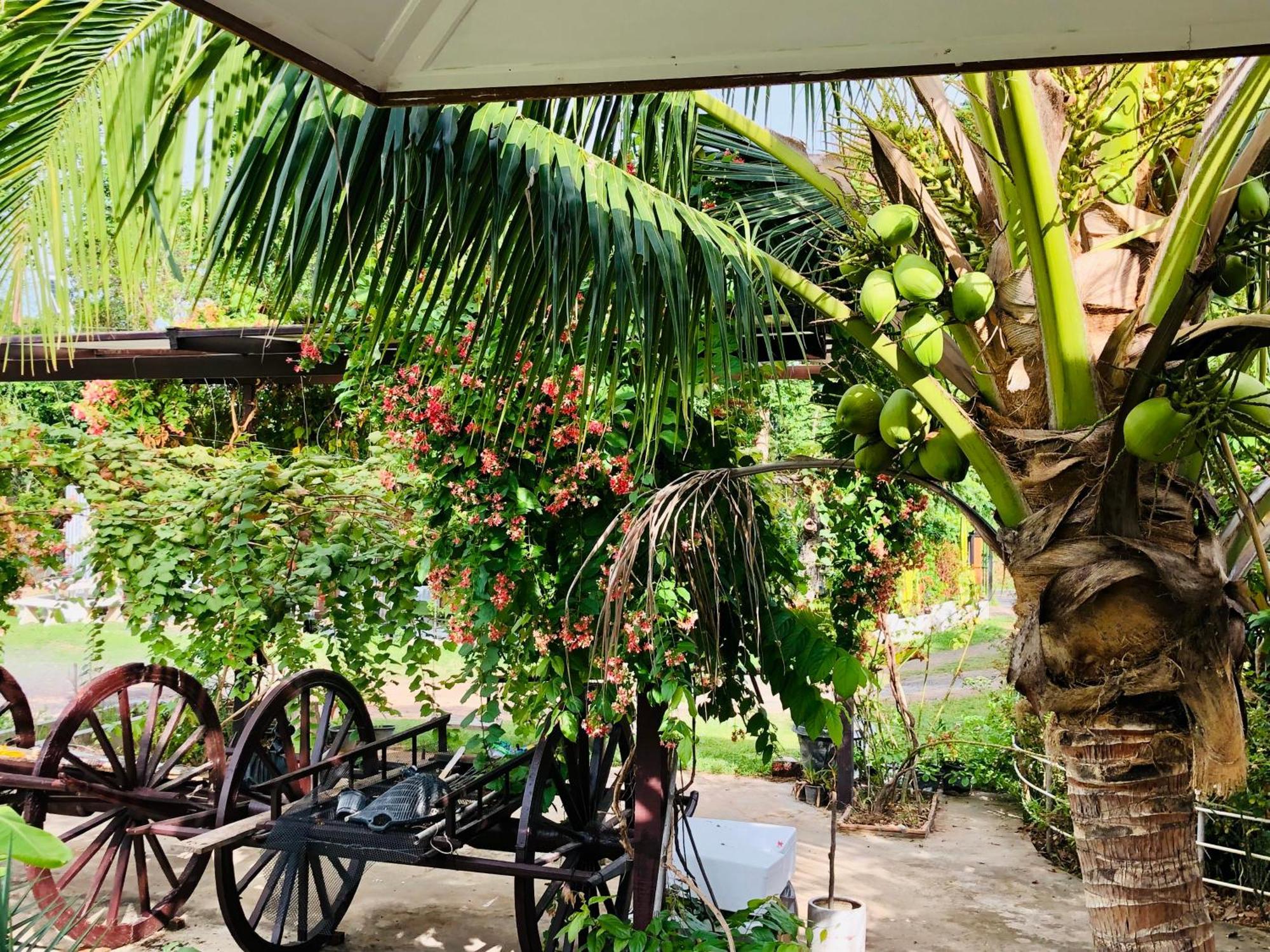 Baan Thung Home Stay Prasat Bagian luar foto