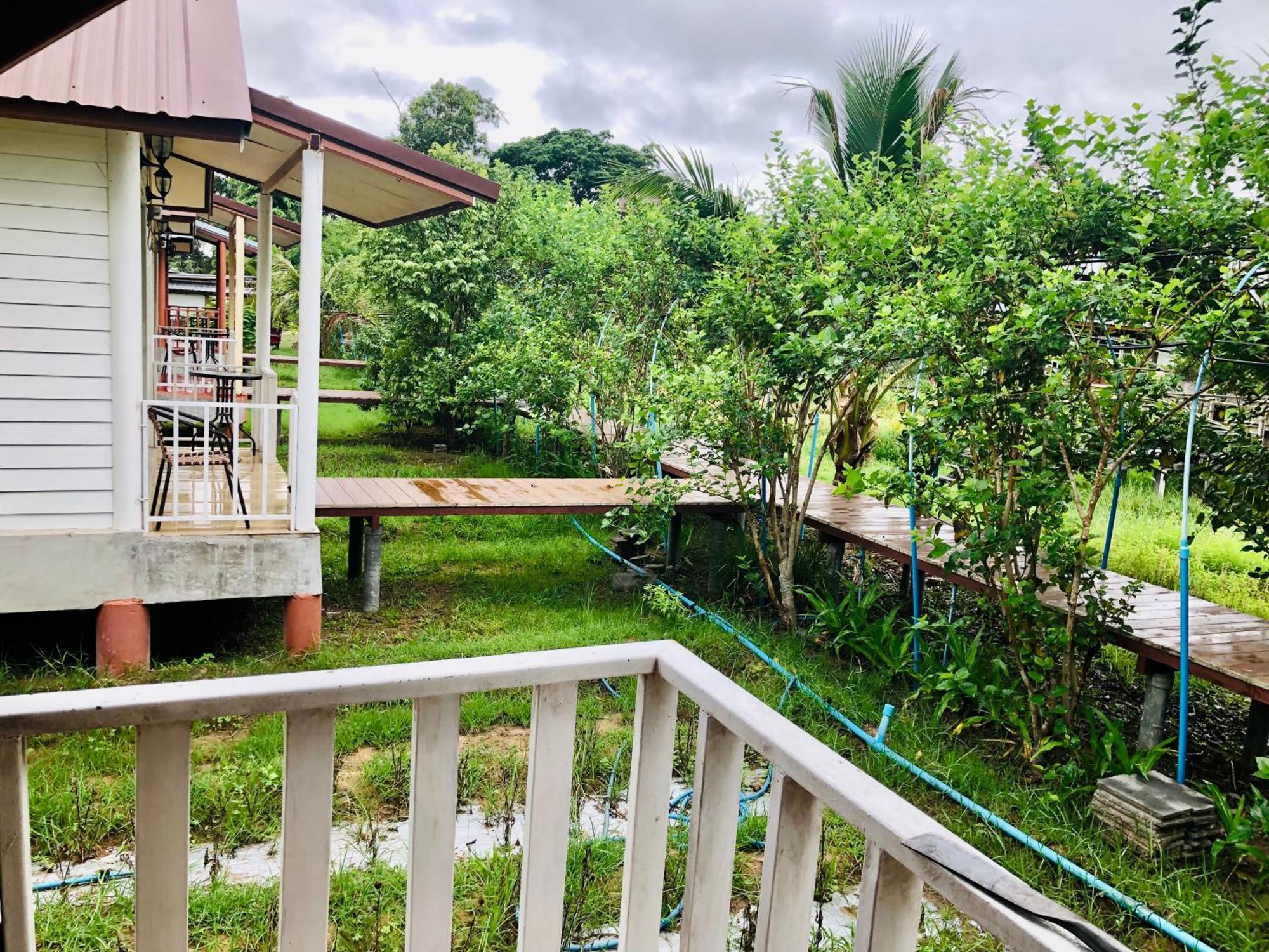 Baan Thung Home Stay Prasat Bagian luar foto
