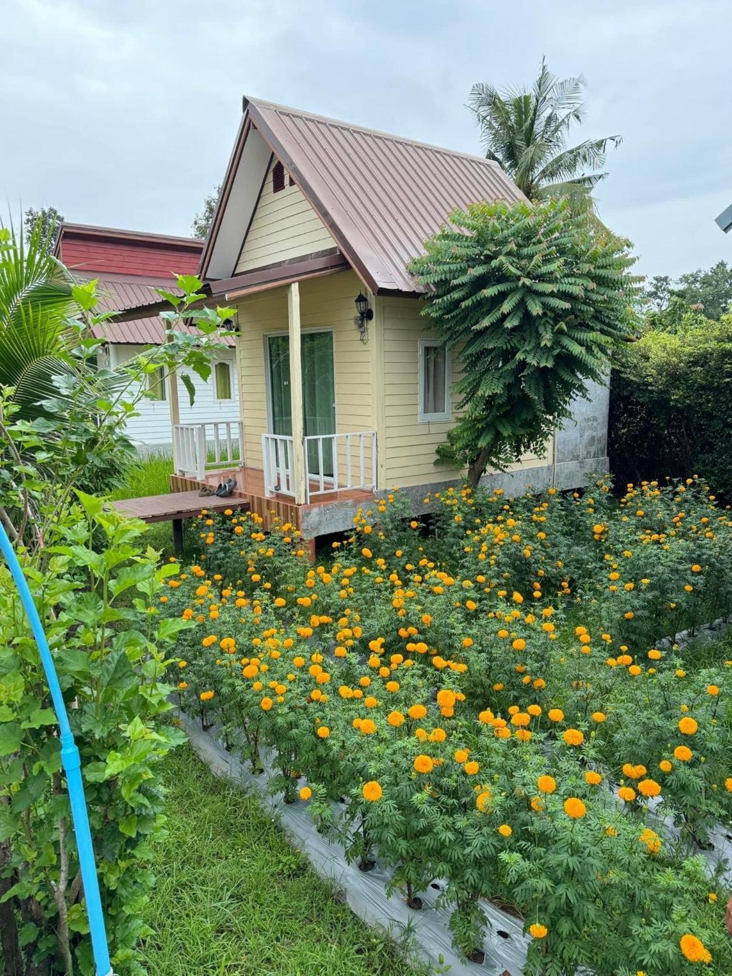 Baan Thung Home Stay Prasat Bagian luar foto