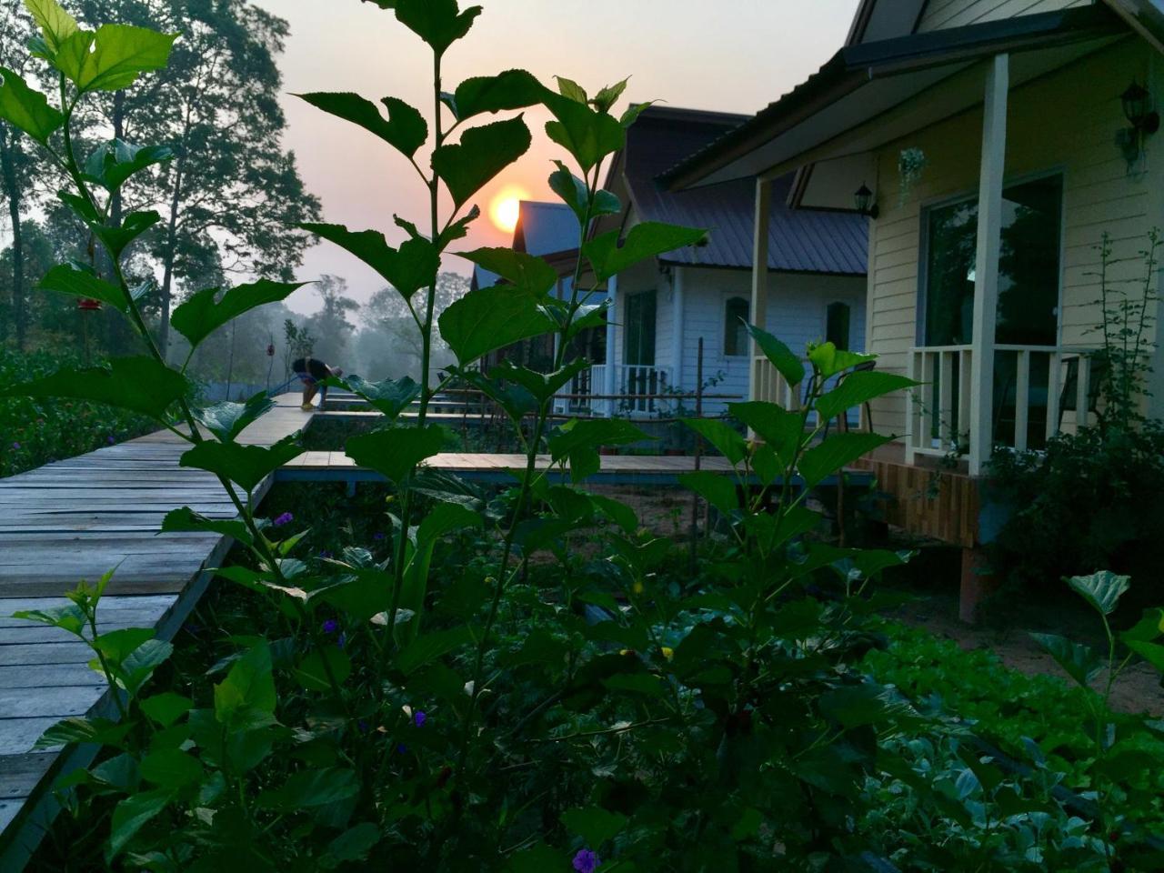 Baan Thung Home Stay Prasat Bagian luar foto