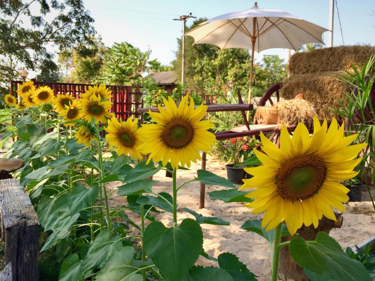 Baan Thung Home Stay Prasat Bagian luar foto