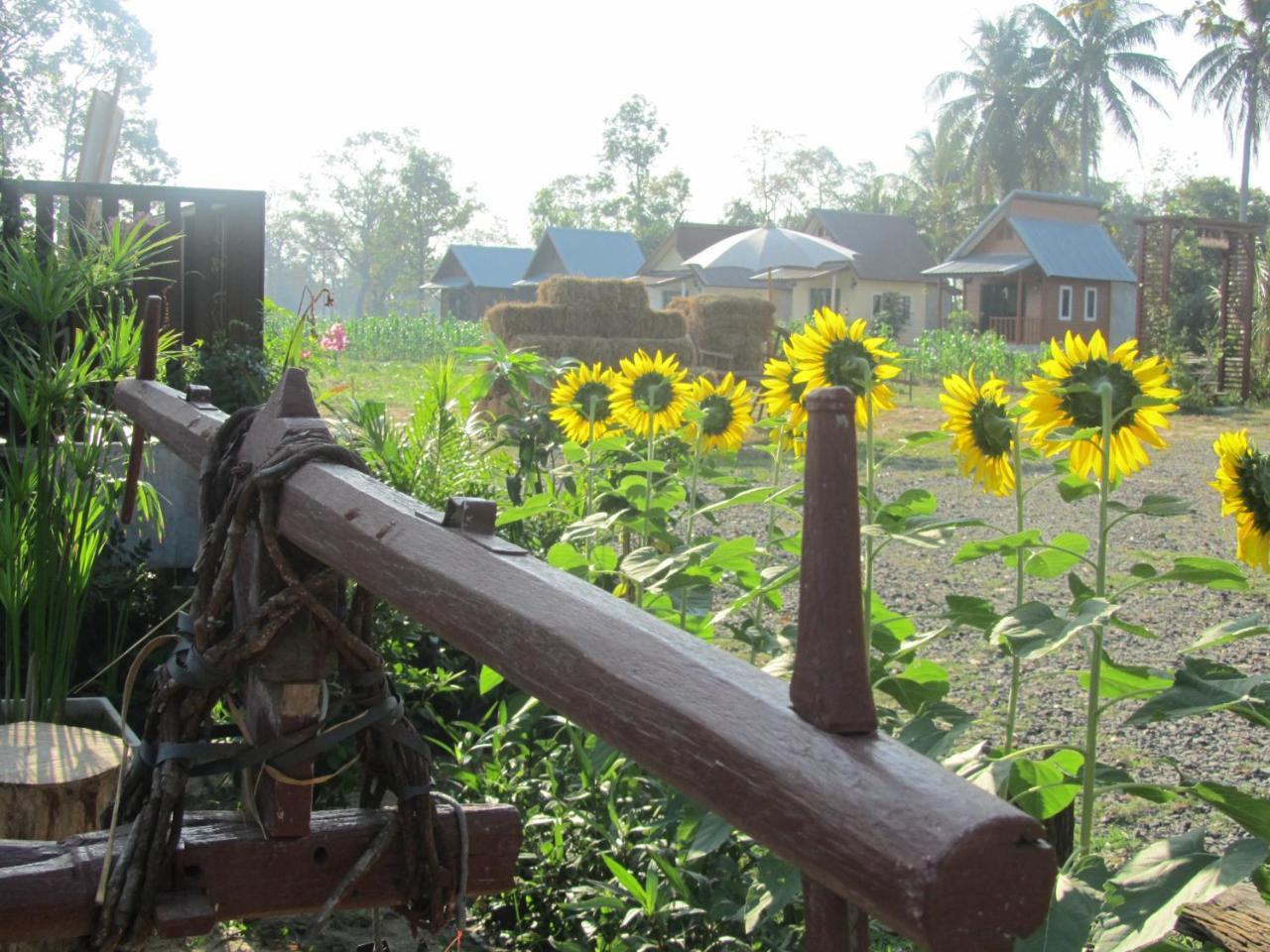 Baan Thung Home Stay Prasat Bagian luar foto