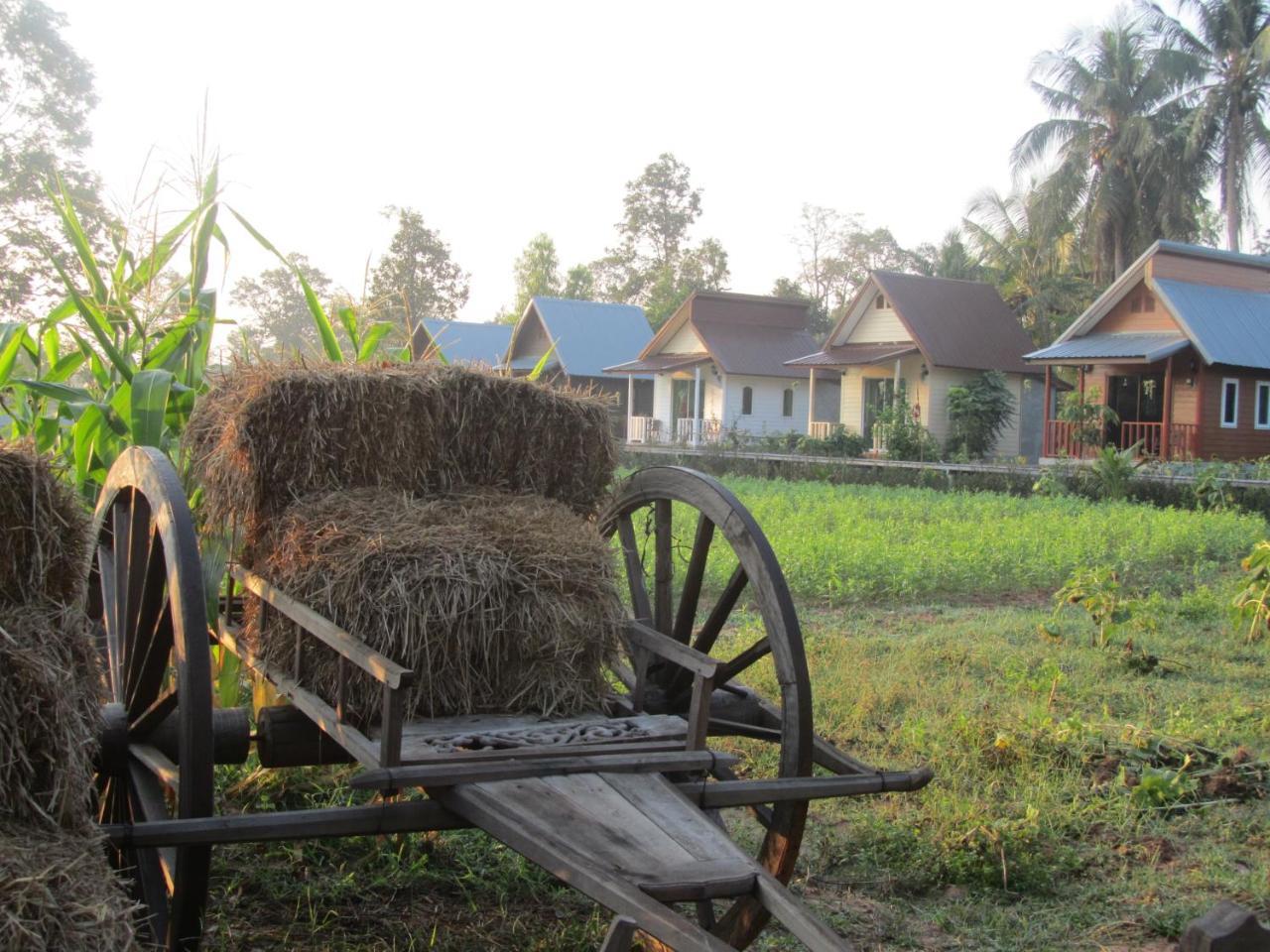 Baan Thung Home Stay Prasat Bagian luar foto