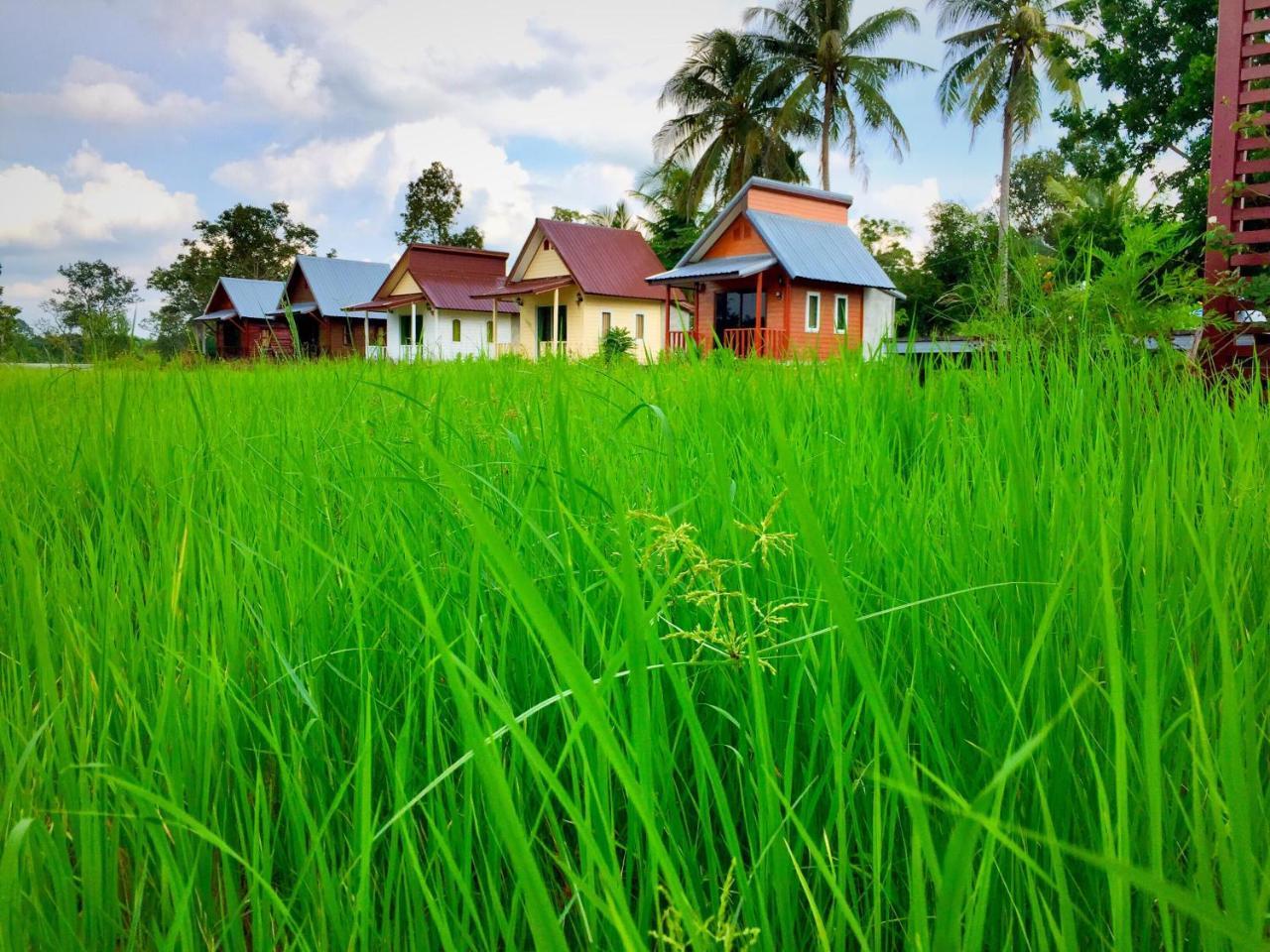 Baan Thung Home Stay Prasat Bagian luar foto