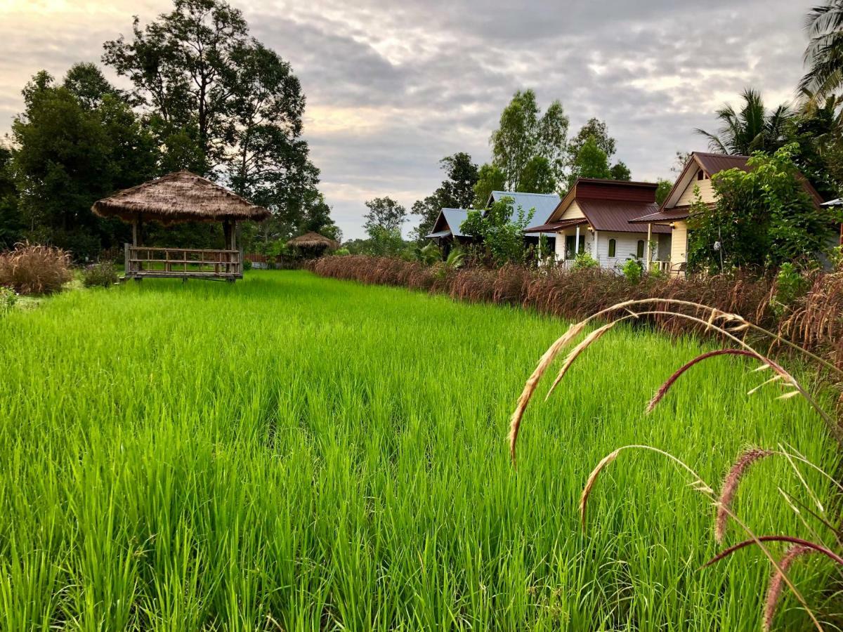 Baan Thung Home Stay Prasat Bagian luar foto