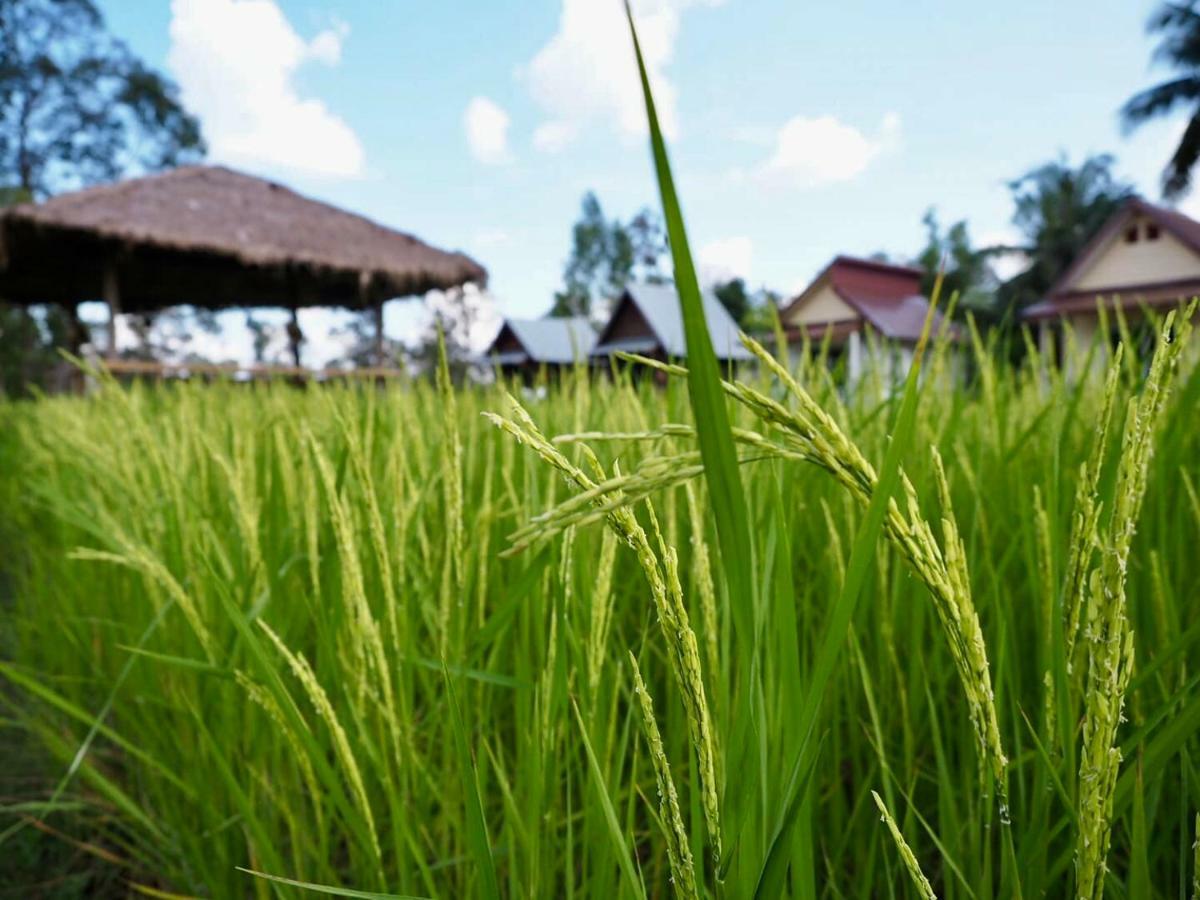 Baan Thung Home Stay Prasat Bagian luar foto