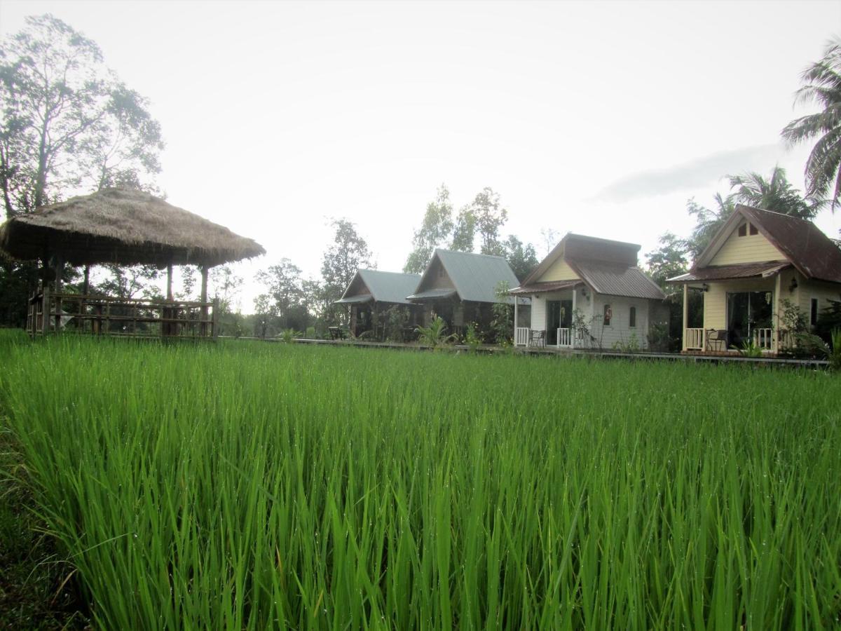 Baan Thung Home Stay Prasat Bagian luar foto