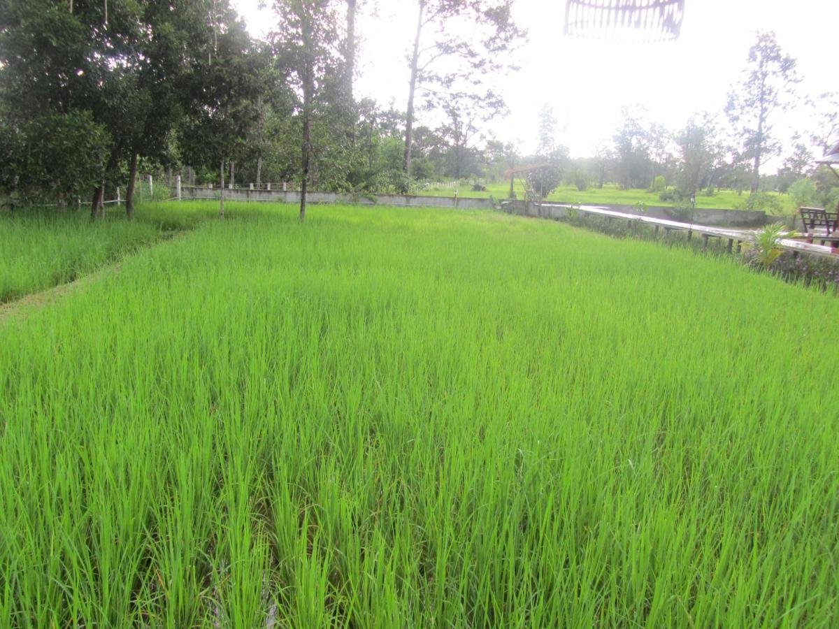 Baan Thung Home Stay Prasat Bagian luar foto